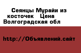 Сеянцы Мурайи из косточек › Цена ­ 100 - Волгоградская обл.  »    